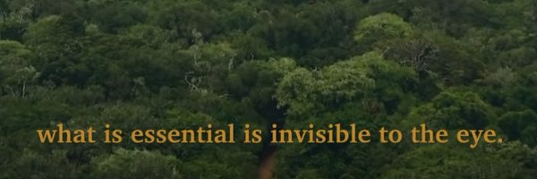 popintar Profile Banner