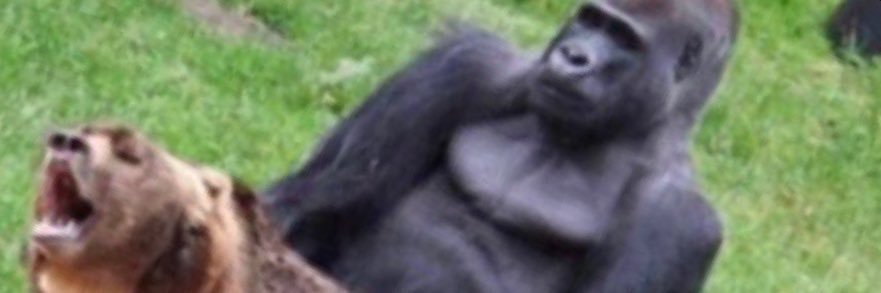 glorycodecrypto's profile banner image