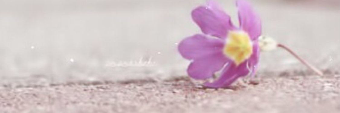 hadoooy30's profile banner image