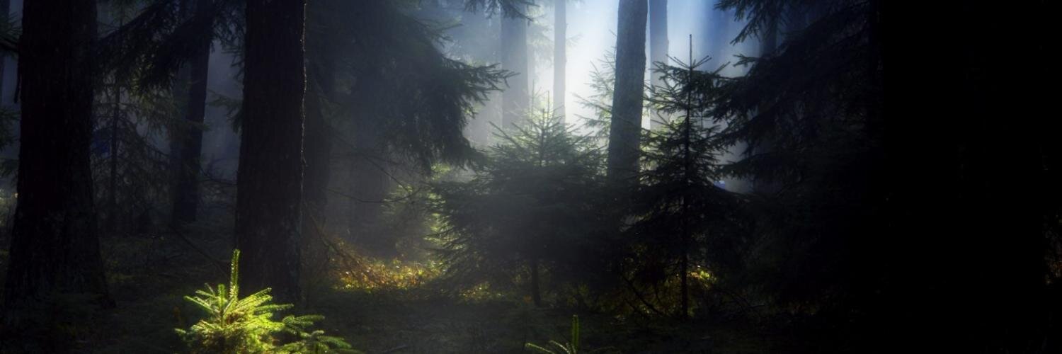 Crossrib's profile banner image