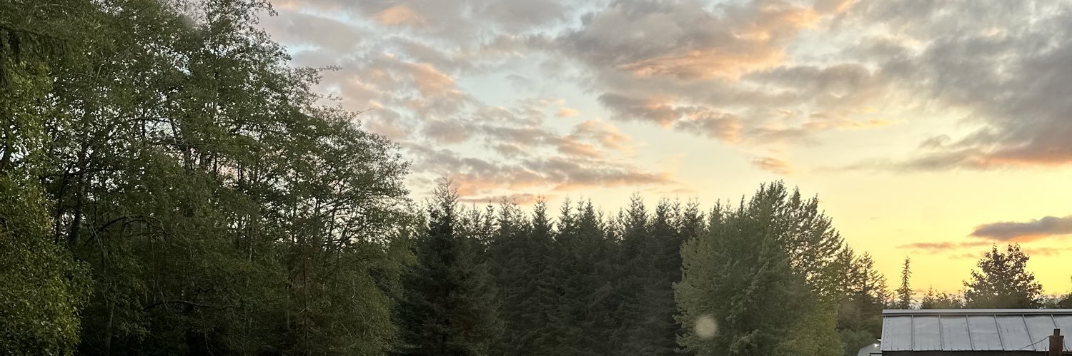 nnatalie_'s profile banner image