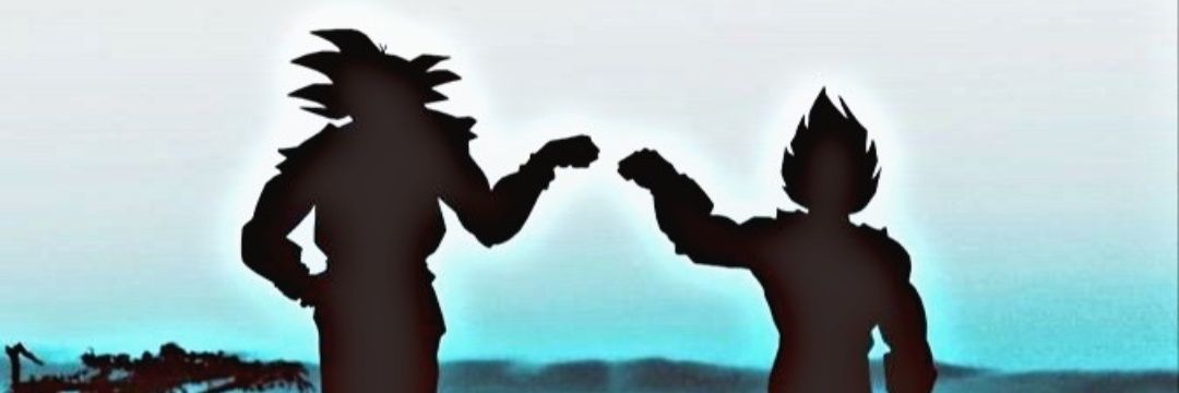 D2 banner