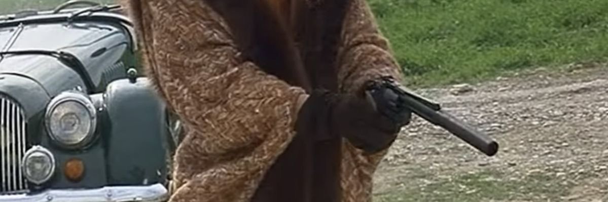 pajarraca666's profile banner image
