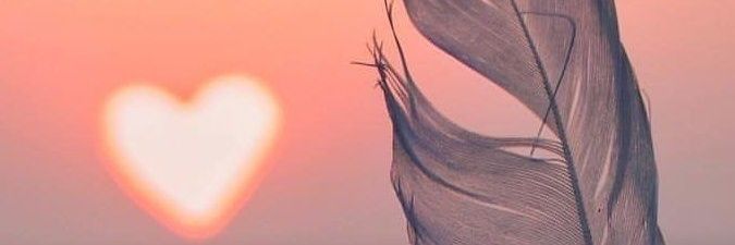 N 💚 banner
