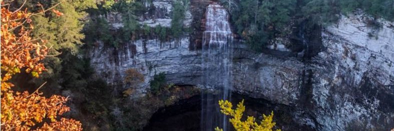 Patrick O' Houlihan banner