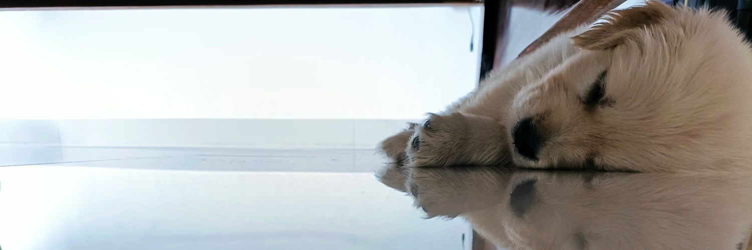 hprudhvi's profile banner image