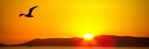 solnascenty's profile banner image