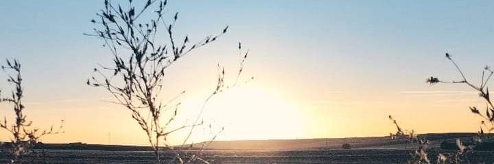 ♎Rocio♎ banner