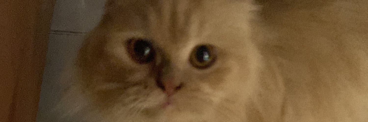 mileeww's profile banner image