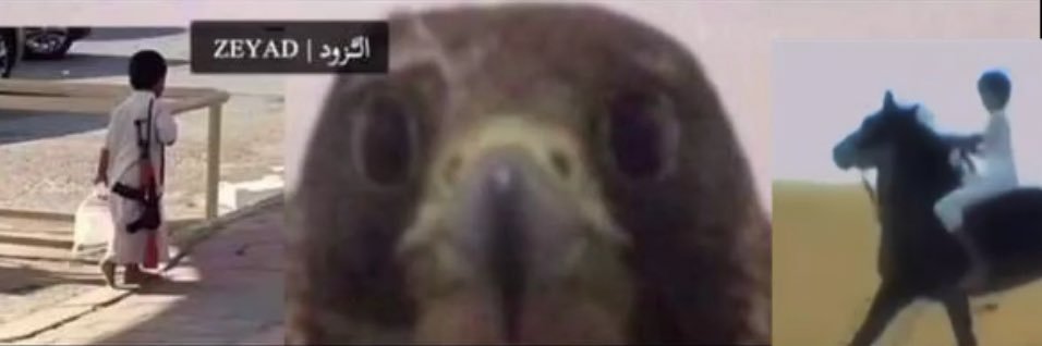 .🦅 ZEYAD | الـَّزود banner