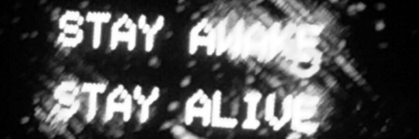 ms. diamond paws banner
