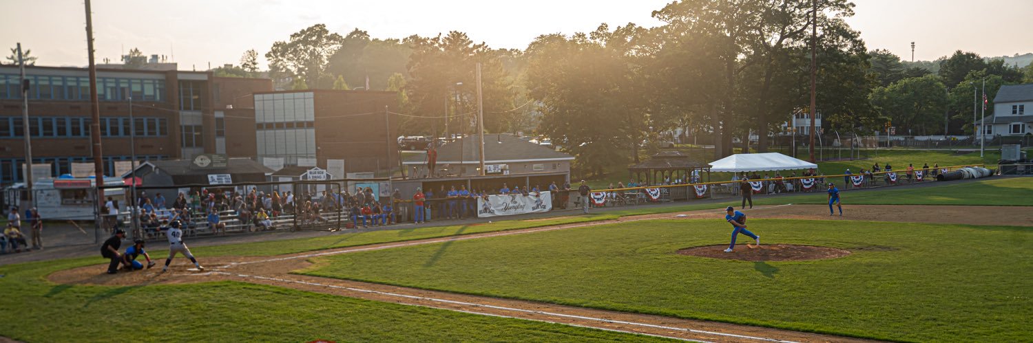 Valley Blue Sox banner