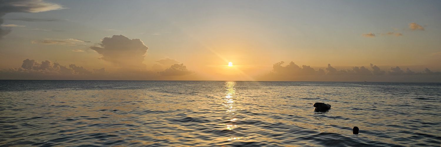 Kelly Stufflebean banner