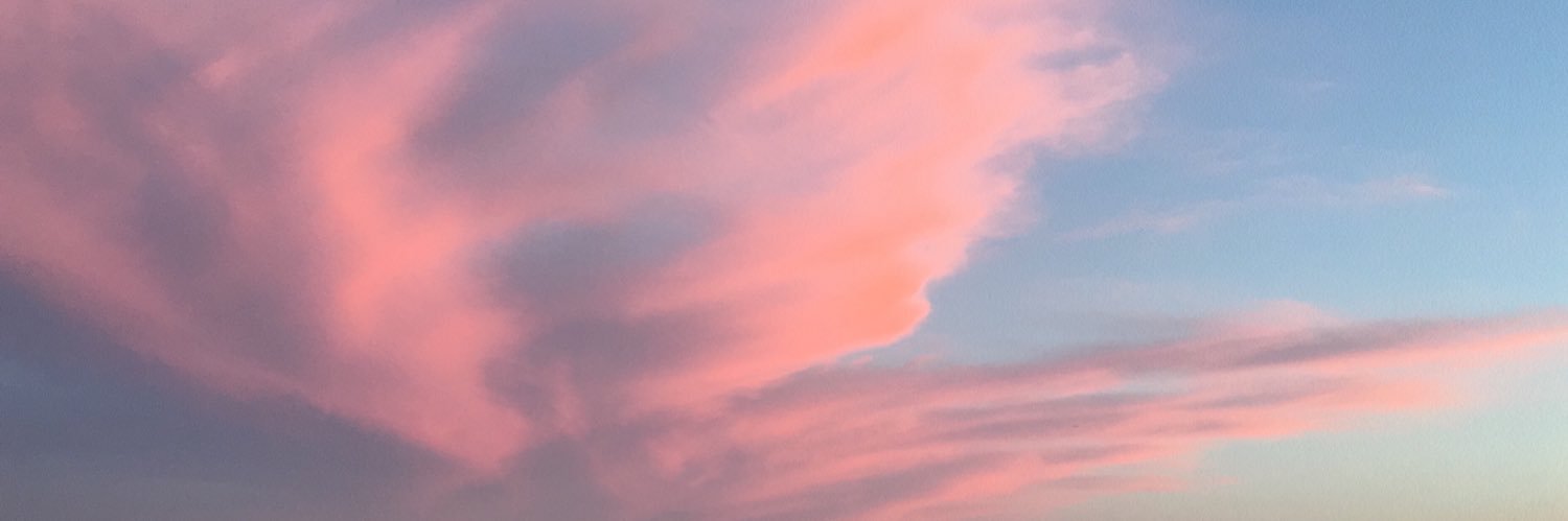didemkirdar's profile banner image