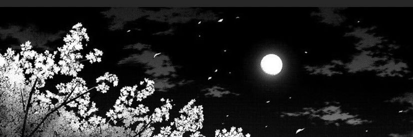 Shibuyazo's profile banner image
