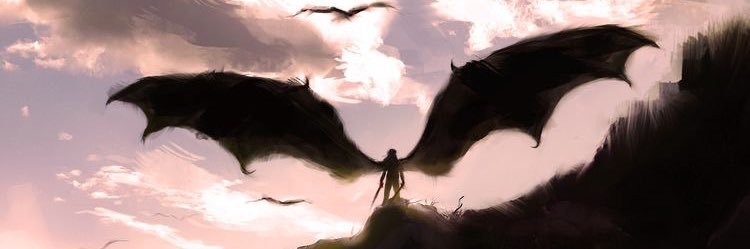 NElsapagh's profile banner image