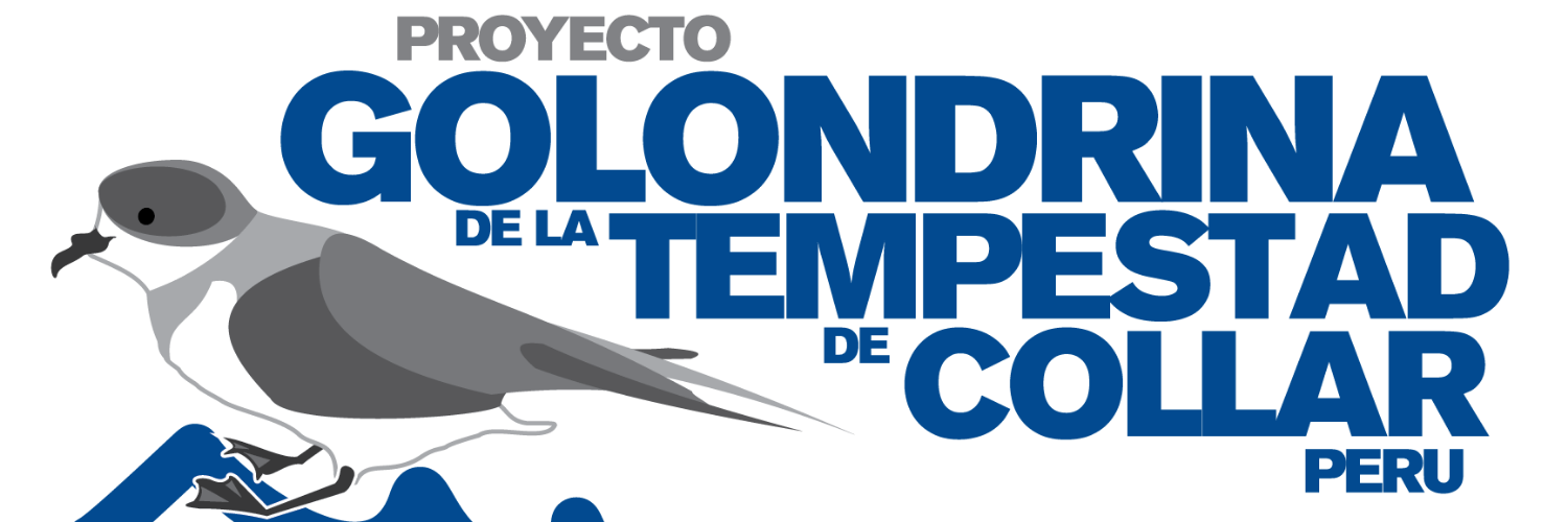 proygolondrina's profile banner image