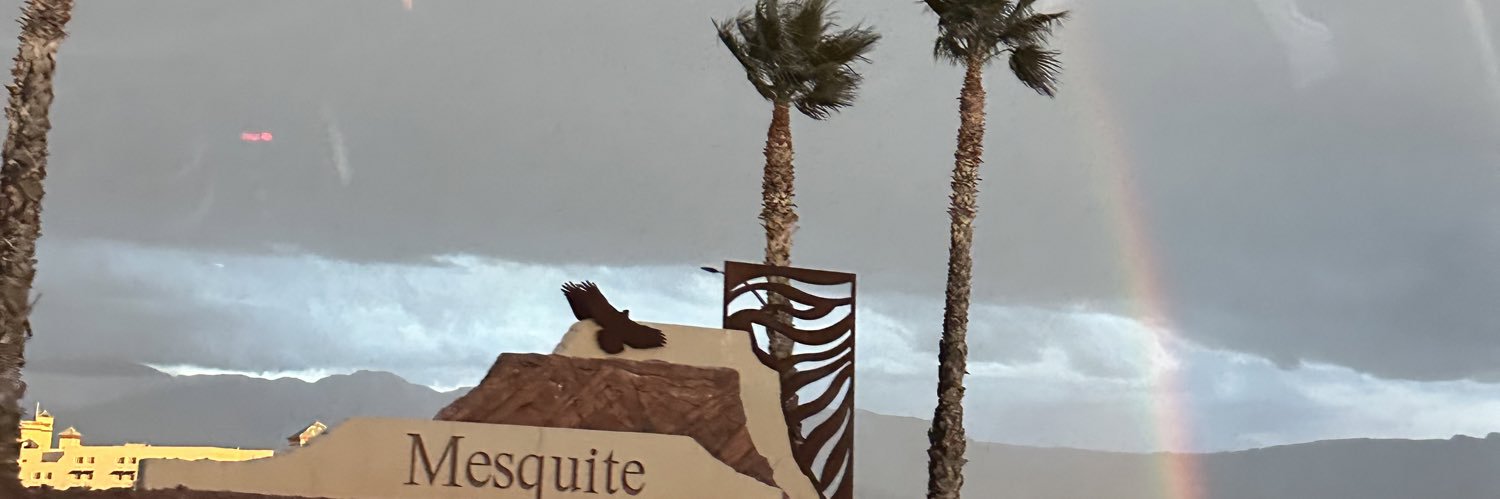 Reese arlin 👤 banner