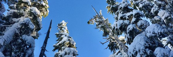 evolving_WKU Profile Banner