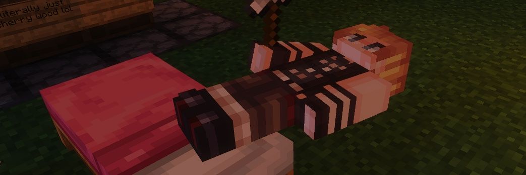 𓏲🫐˖ Ale ᝰ banner