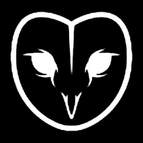 farelarighi's profile banner image