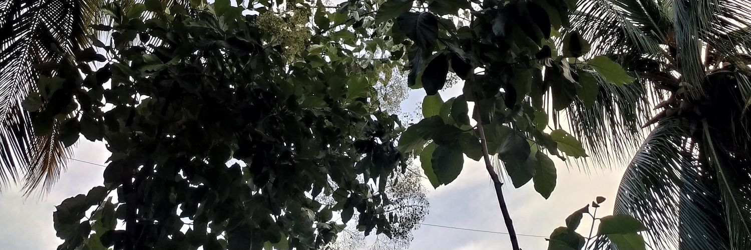 BenJImmanuel's profile banner image