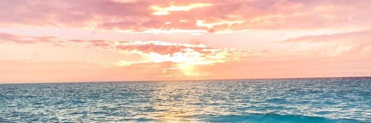 MT➕🖤 banner
