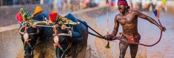 jhanjhat's profile banner image