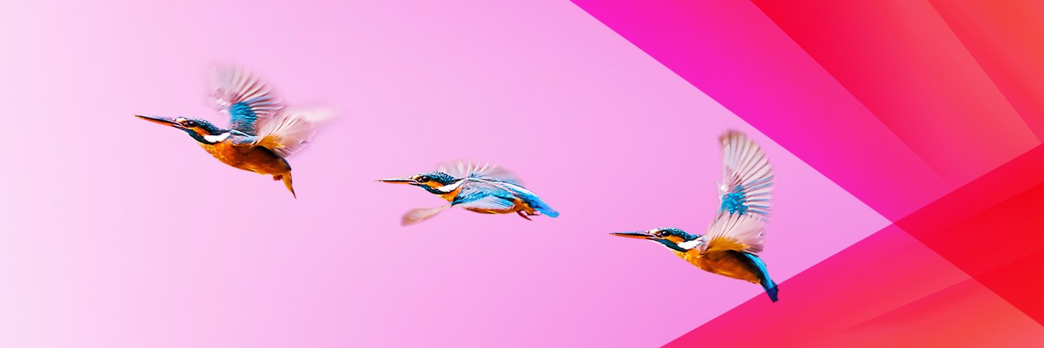 ArenaMediaLATAM's profile banner image