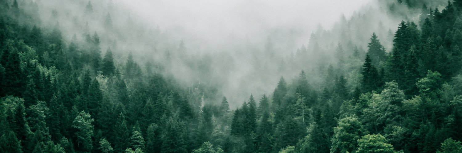 A Bunch of Trees banner