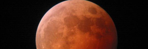 Rashshaf's profile banner image