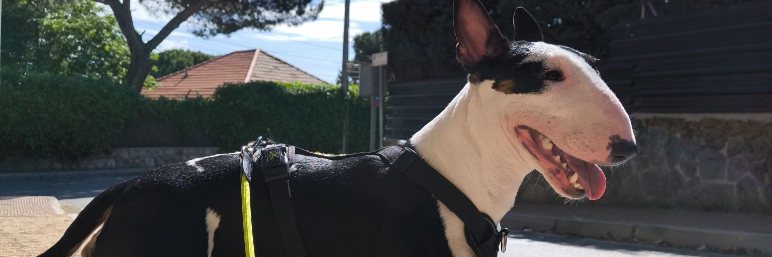 laflaaaka's profile banner image