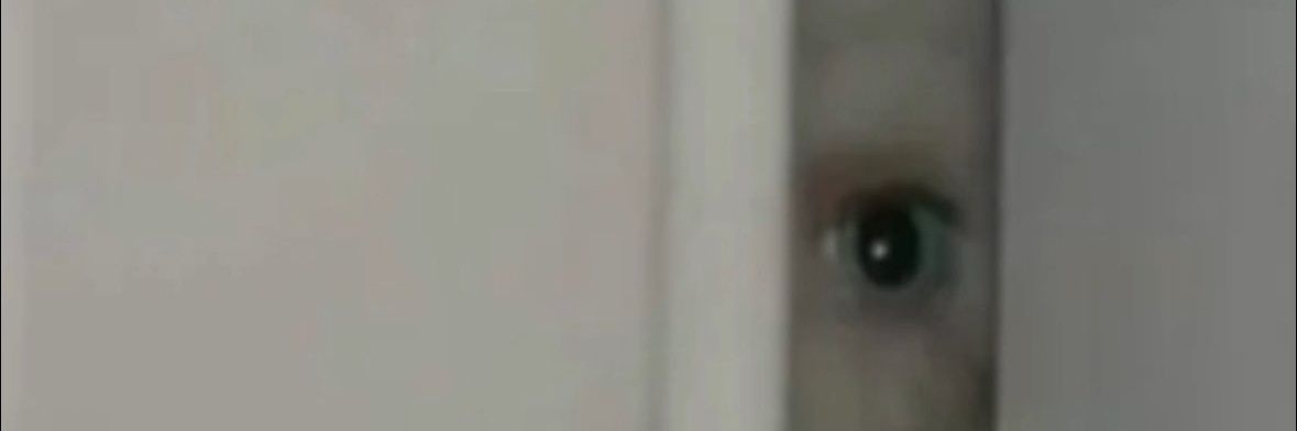 4thousandrats banner