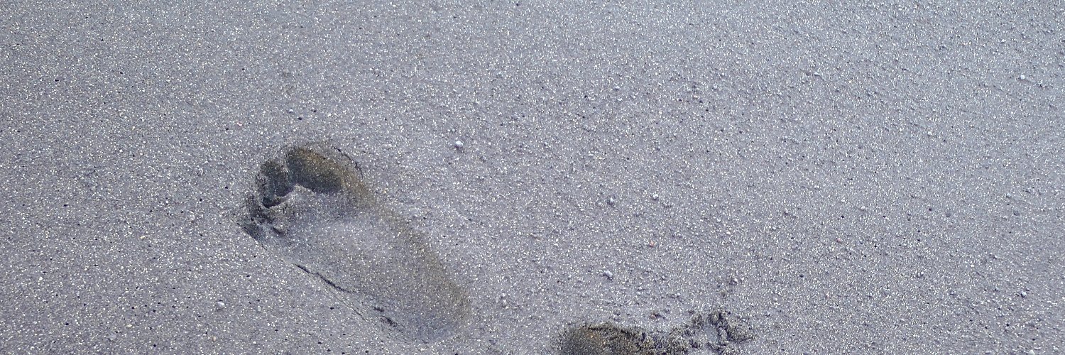 BenoitMaisonny's profile banner image