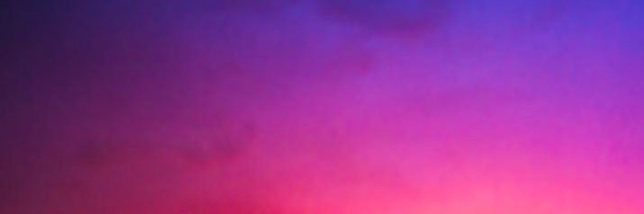 leyah li's banner