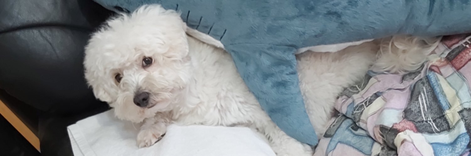 薯條🍟✨ポテト banner