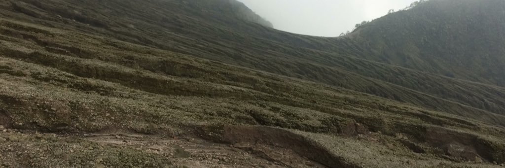 barelta_'s profile banner image
