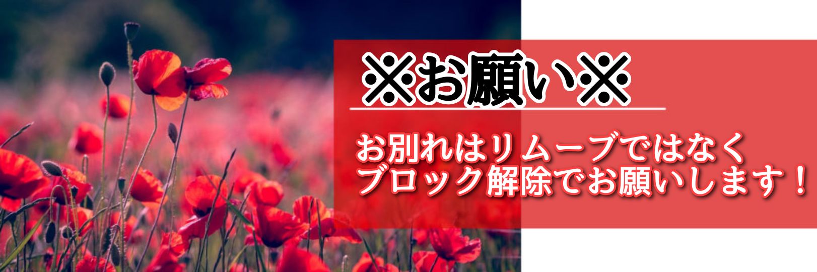 らーる/💮ゲーム垢 banner