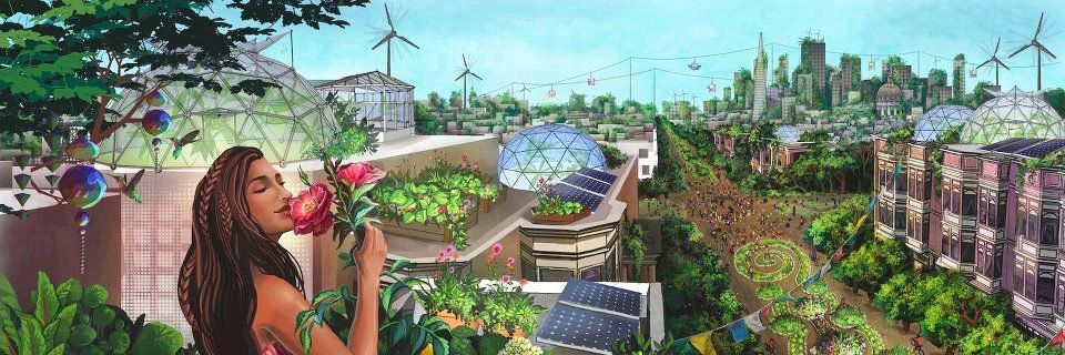 Den Haag inTransitie banner