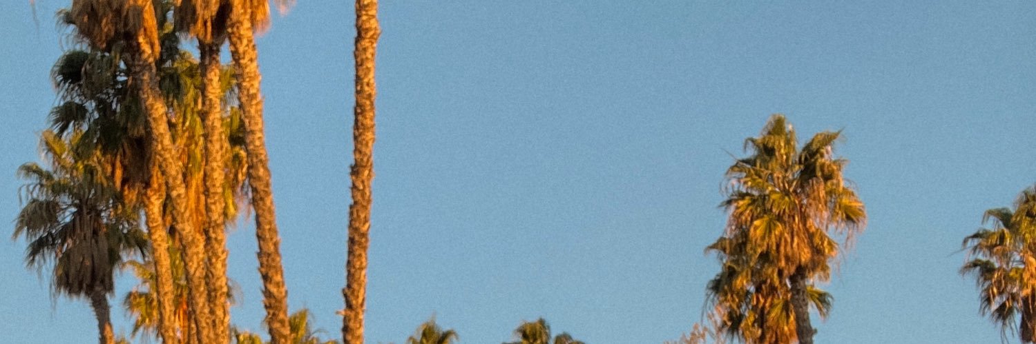 jessicaneistadt's profile banner image