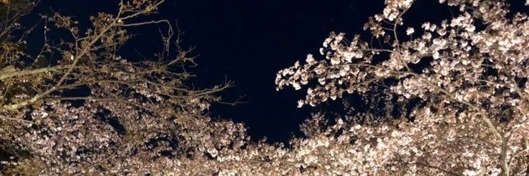 おとりひき banner
