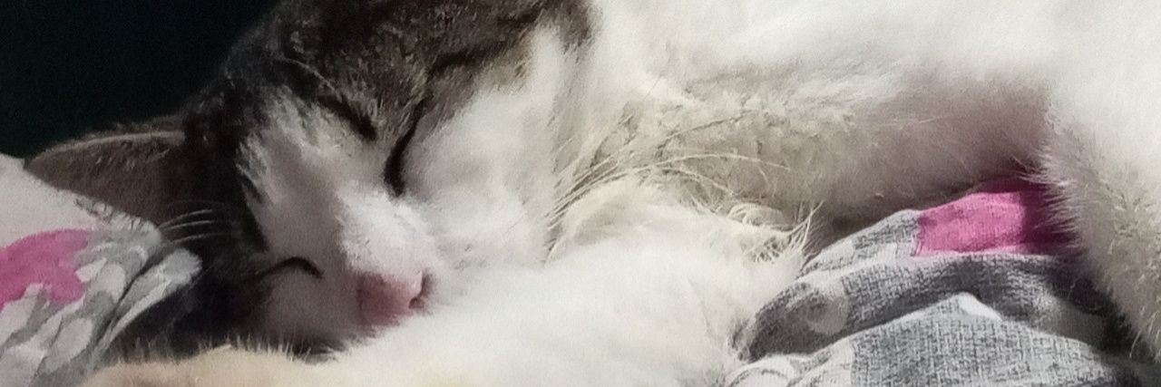 krz4czor's banner