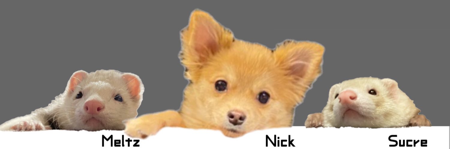 _cattank's profile banner image