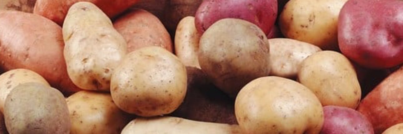SSPotato616's profile banner image