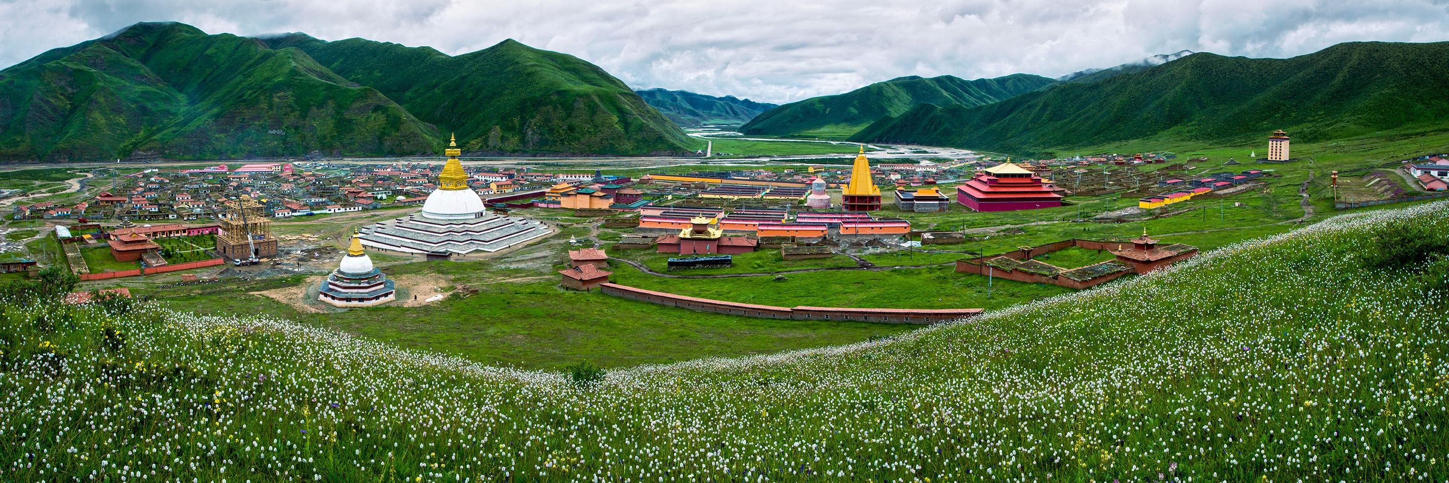 transongiang's profile banner image