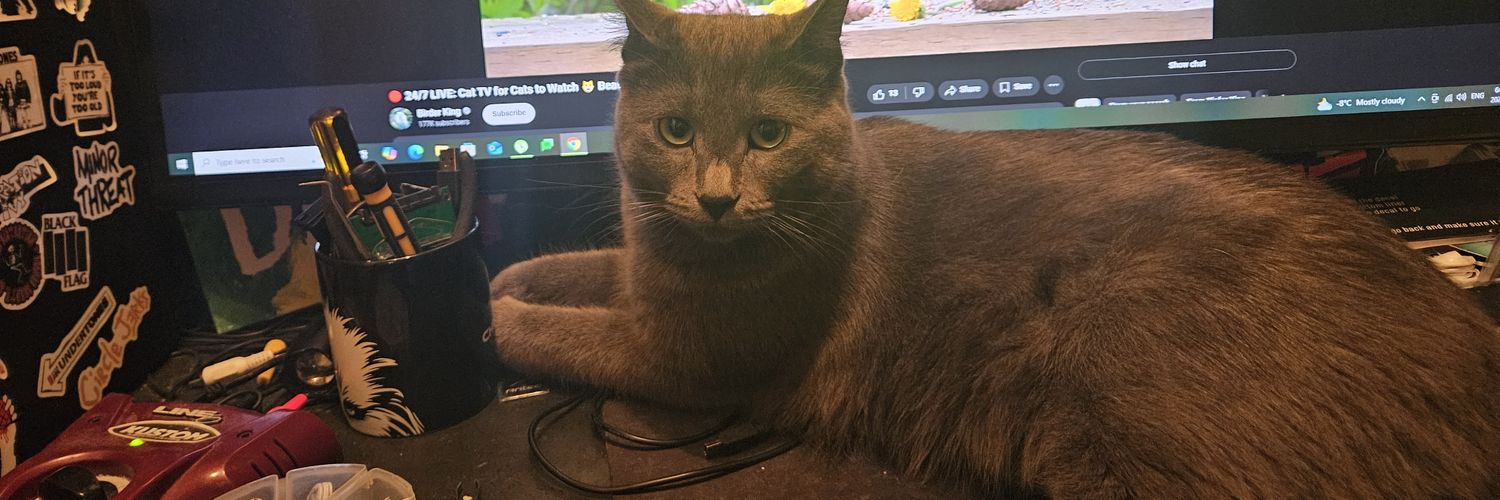 Zodgrod's profile banner image