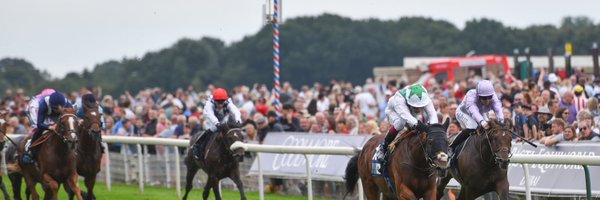 greenteamracing Profile Banner