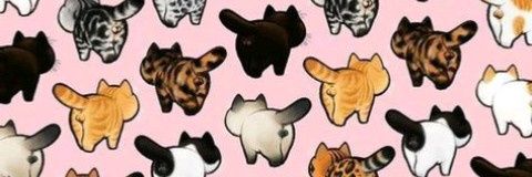 ___alexa's profile banner image