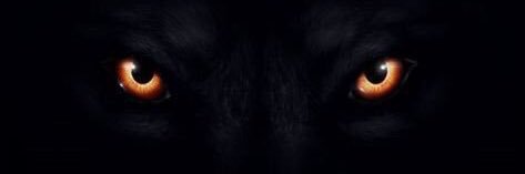 𝐊𝐄𝐍𝐙 banner