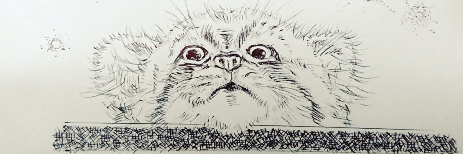 mana_montee30's profile banner image